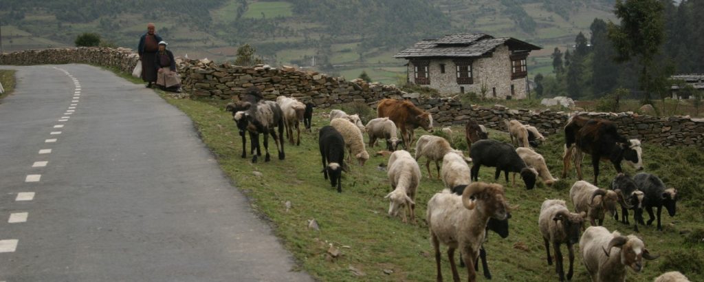 essay on agriculture in bhutan